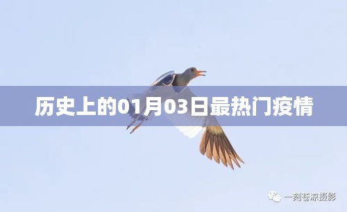 疫情熱點(diǎn)回顧，歷史上的重要時(shí)刻——一月三日