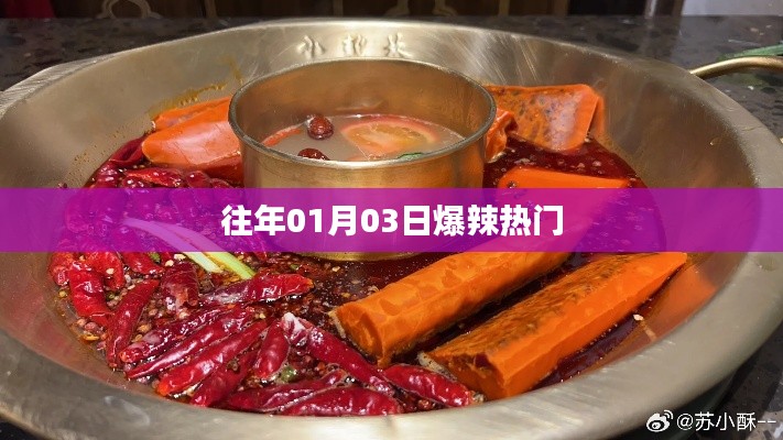 往年元旦后爆辣熱門(mén)事件回顧