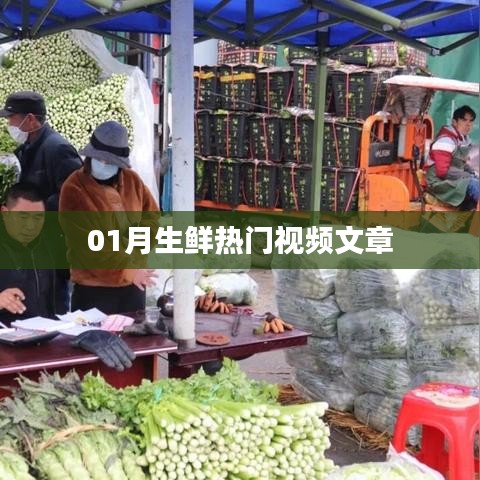 生鮮熱門視頻盤點(diǎn)，一月精選文章
