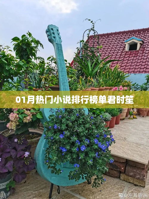 熱門小說排行榜，君時笙獨占鰲頭