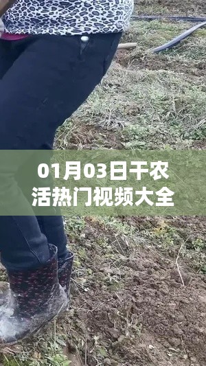 最新熱門農活視頻合集，01月03日全收錄！