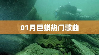 巨蟒熱門歌曲榜單來襲，不容錯過！