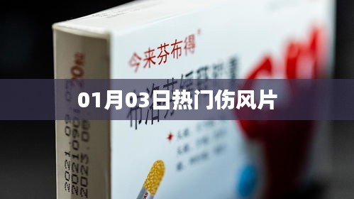 最新熱門傷風片資訊，01月03日全面解讀