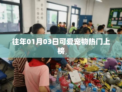 可愛寵物上榜趨勢(shì)盤點(diǎn)