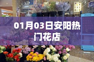 安陽熱門花店一覽，精選推薦（日期，01月03日）