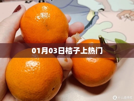桔子上熱門，日期揭秘！