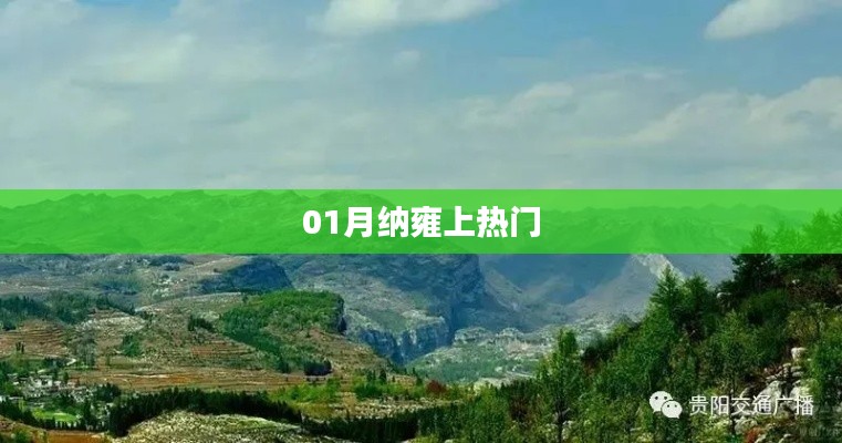 納雍熱點聚焦，一月份熱議話題揭秘