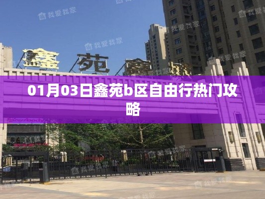鑫苑b區(qū)自由行，熱門攻略全解析