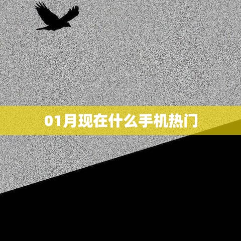 當下熱門手機推薦