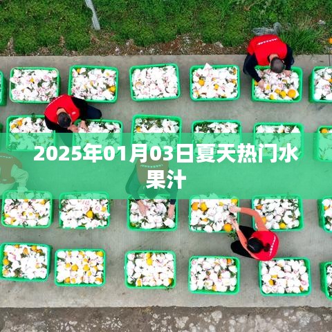 夏日水果汁流行趨勢，2025年熱門水果汁推薦