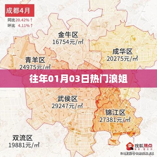 浪姐歷年元旦熱門回顧，精彩瞬間一網打盡！