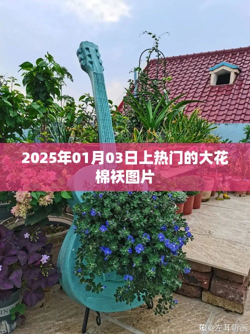 『2025年熱門大花棉襖時尚圖片欣賞』