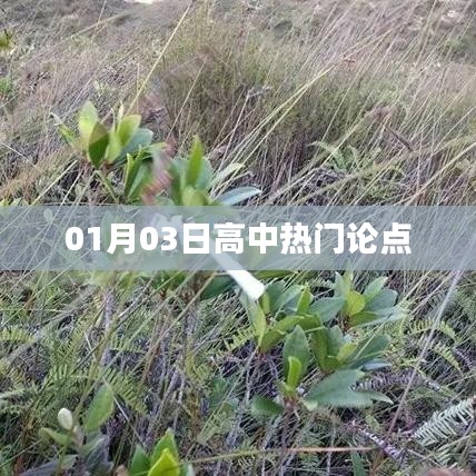 熱門論點(diǎn)解析，高中生關(guān)注焦點(diǎn)熱議日評(píng)