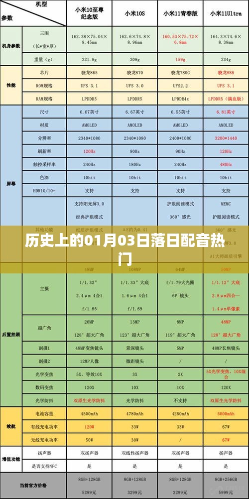 歷史上的經(jīng)典落日配音回顧，一月三日之聲動(dòng)人心弦