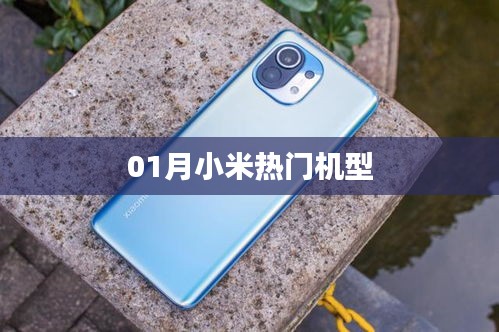 鋪張浪費(fèi) 第3頁(yè)