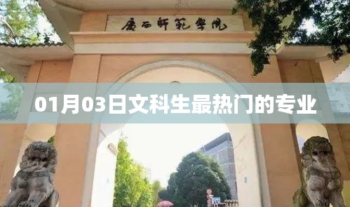 文科生熱門專業(yè)選擇趨勢分析，01月03日數(shù)據(jù)解讀