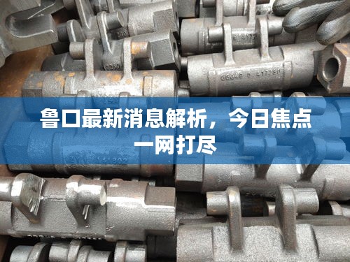 魯口最新消息解析，今日焦點一網打盡
