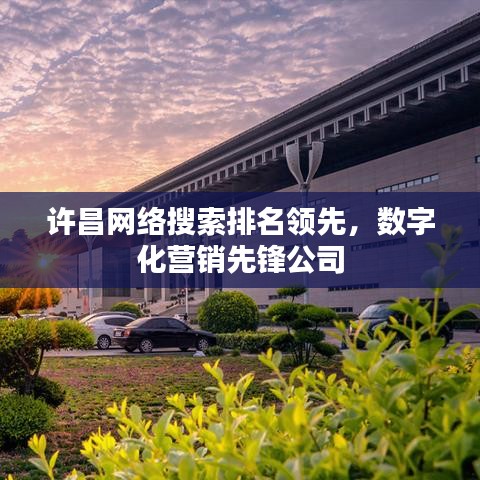 許昌網絡搜索排名領先，數字化營銷先鋒公司