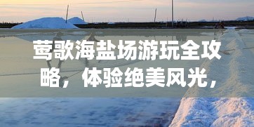 鶯歌海鹽場(chǎng)游玩全攻略，體驗(yàn)絕美風(fēng)光，盡享海濱度假！