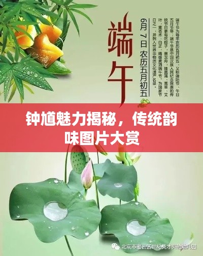 鐘馗魅力揭秘，傳統韻味圖片大賞