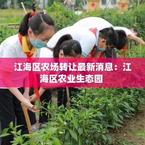 江海區農場轉讓最新消息：江海區農業生態園 