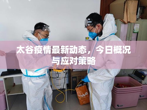 太谷疫情最新動態，今日概況與應對策略