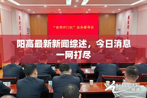陽高最新新聞綜述，今日消息一網打盡