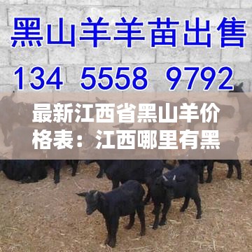 最新江西省黑山羊價(jià)格表：江西哪里有黑山羊苗出售 