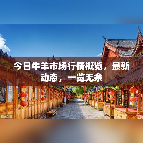 今日牛羊市場行情概覽，最新動態，一覽無余