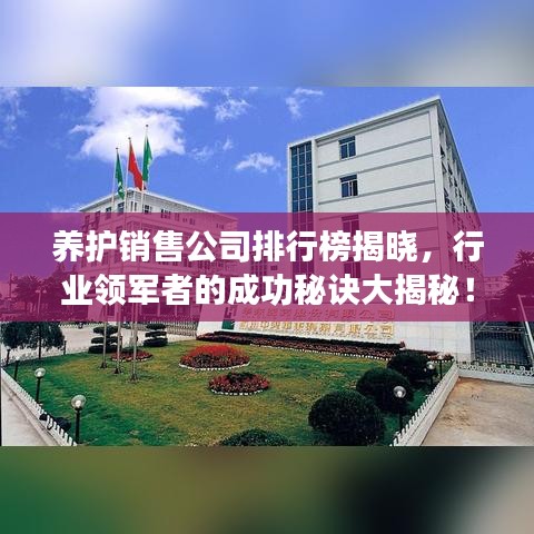養護銷售公司排行榜揭曉，行業領軍者的成功秘訣大揭秘！