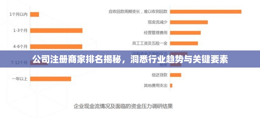 公司注冊商家排名揭秘，洞悉行業(yè)趨勢與關鍵要素