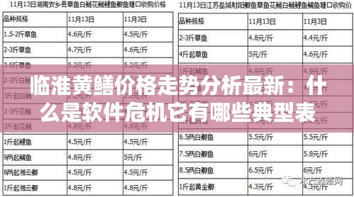 臨淮黃鱔價格走勢分析最新：什么是軟件危機它有哪些典型表現 