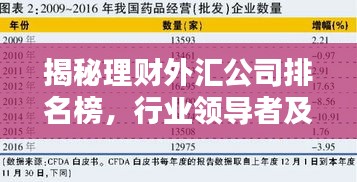 揭秘理財外匯公司排名榜，行業領導者及其制勝策略！