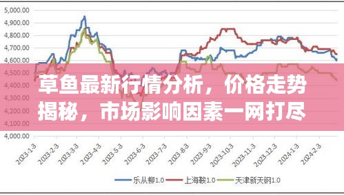 草魚最新行情分析，價格走勢揭秘，市場影響因素一網打盡！