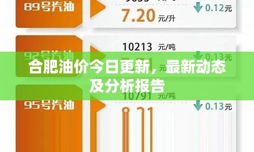 公司簡介 第214頁
