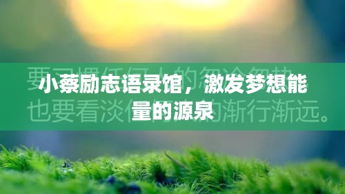 小蔡勵志語錄館，激發夢想能量的源泉