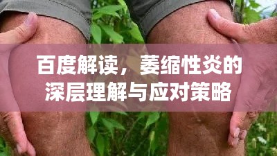百度解讀，萎縮性炎的深層理解與應對策略