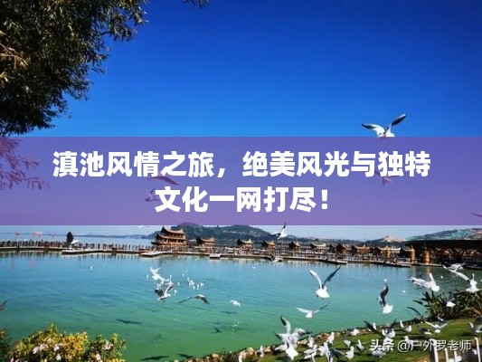 滇池風情之旅，絕美風光與獨特文化一網打盡！