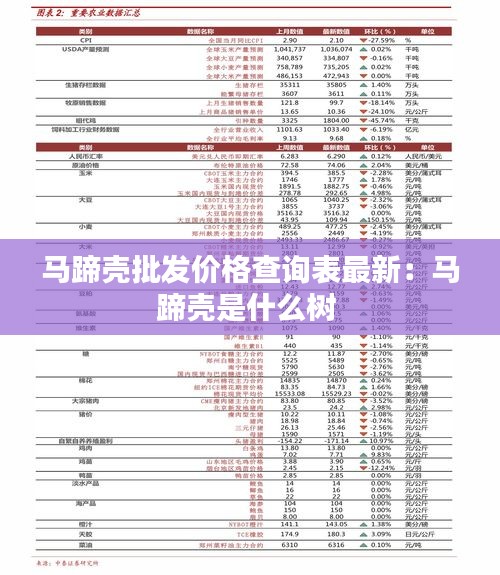 馬蹄殼批發價格查詢表最新：馬蹄殼是什么樹 