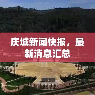 慶城新聞快報，最新消息匯總