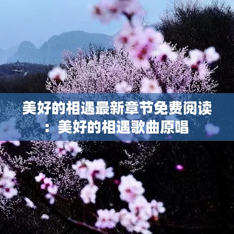 美好的相遇最新章節免費閱讀：美好的相遇歌曲原唱 