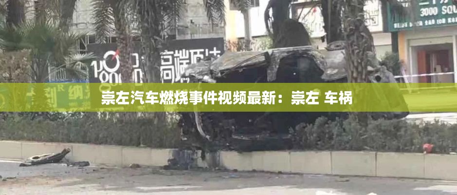天生麗質 第2頁