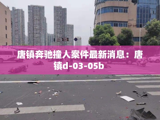 唐鎮奔馳撞人案件最新消息：唐鎮d-03-05b 