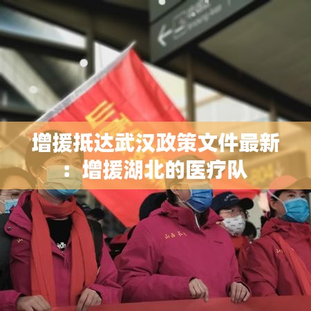 增援抵達武漢政策文件最新：增援湖北的醫療隊 