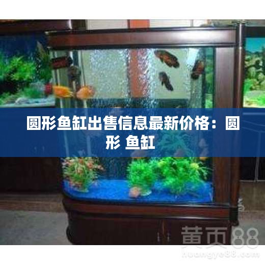 巧舌如簧 第3頁