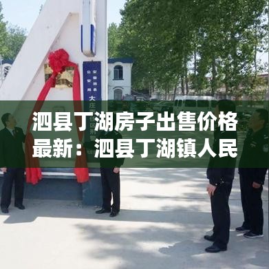 泗縣丁湖房子出售價格最新：泗縣丁湖鎮人民政府 
