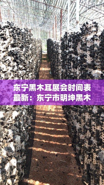 東寧黑木耳展會時間表最新：東寧市明坤黑木耳加工廠 