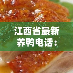 江西省最新養鴨電話：江西養鴨專業合作社 