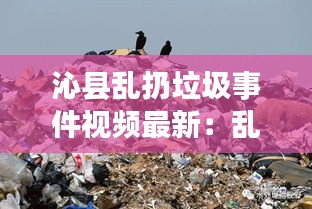 沁縣亂扔垃圾事件視頻最新：亂扔垃圾污染環境的視頻 