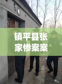 鎮平縣張家慘案案件最新進展：鎮平縣張林鎮 誰是真霸 